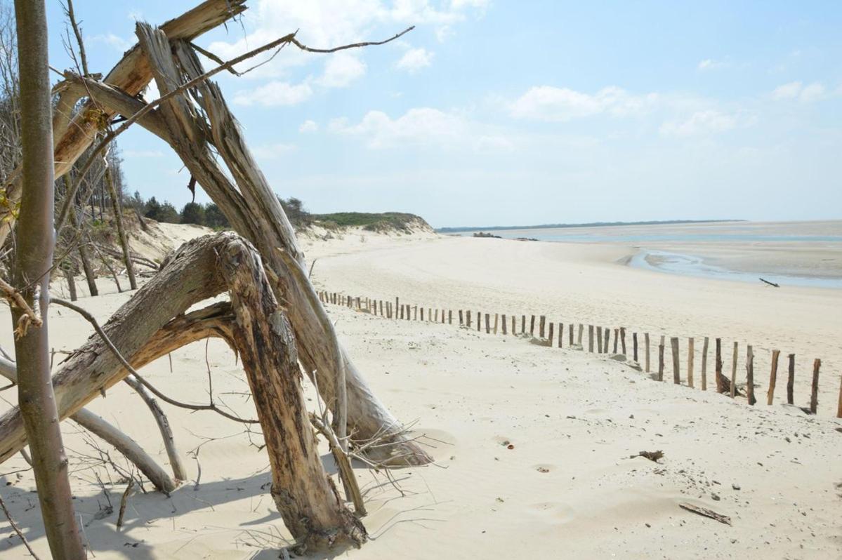 Hamac - Vue Mer - 100M Plage Berck Zewnętrze zdjęcie