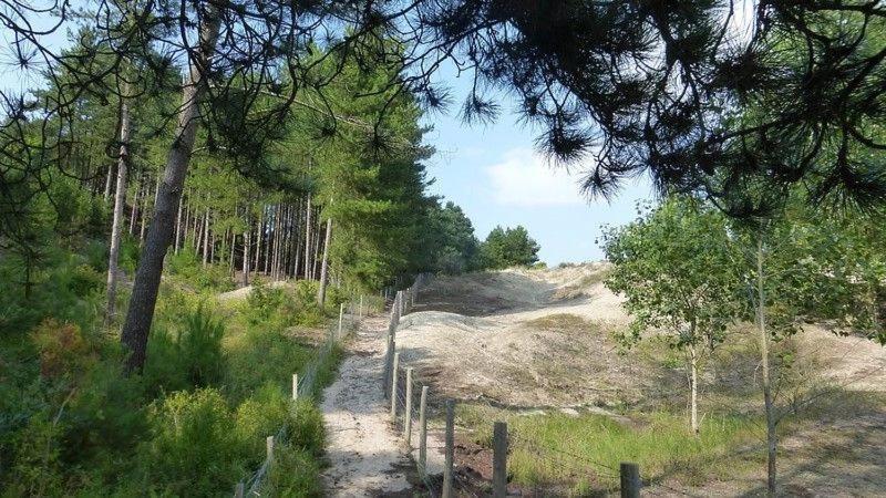 Hamac - Vue Mer - 100M Plage Berck Zewnętrze zdjęcie