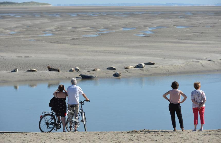 Hamac - Vue Mer - 100M Plage Berck Zewnętrze zdjęcie